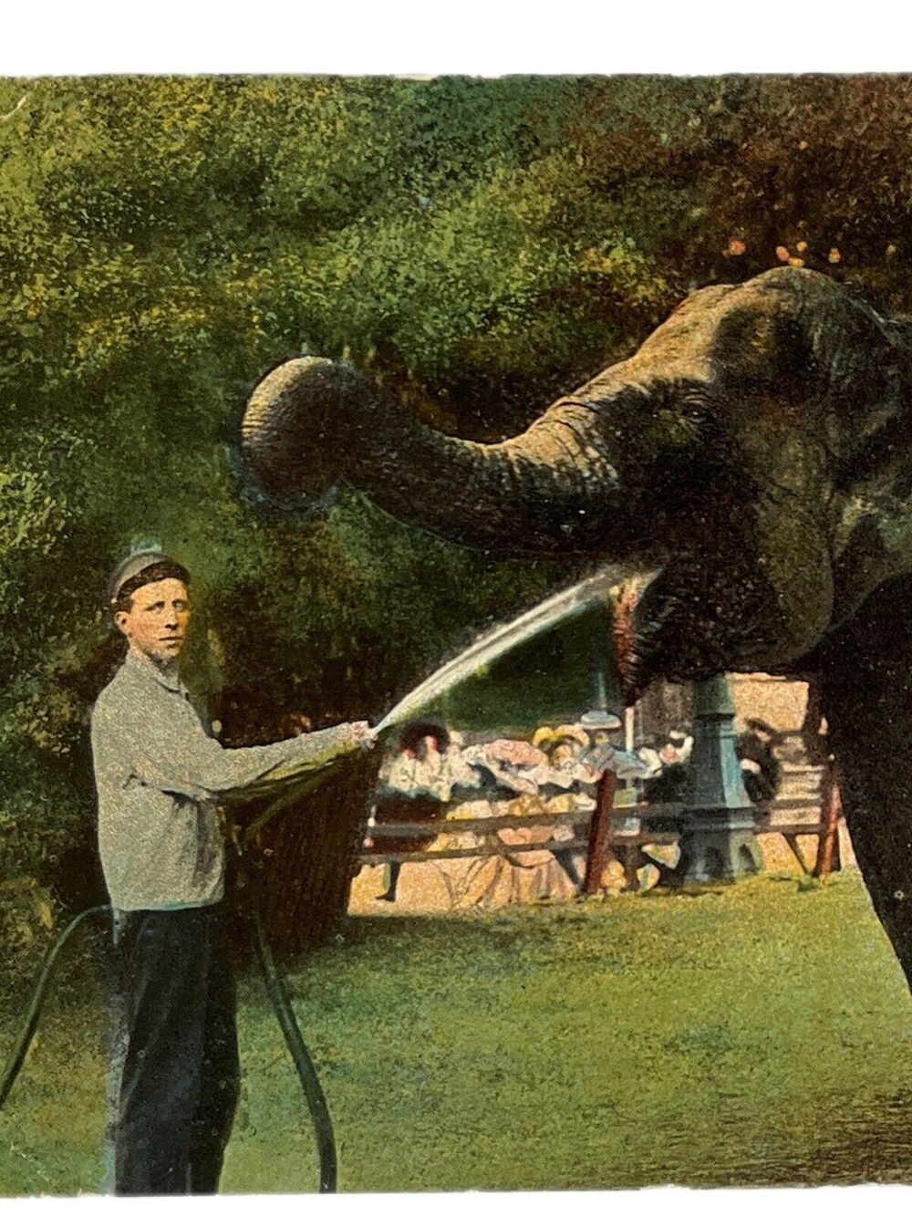 Antique 1912 Ephemera Posted Signed Postcard Best Wishes Elephant Handler LItho